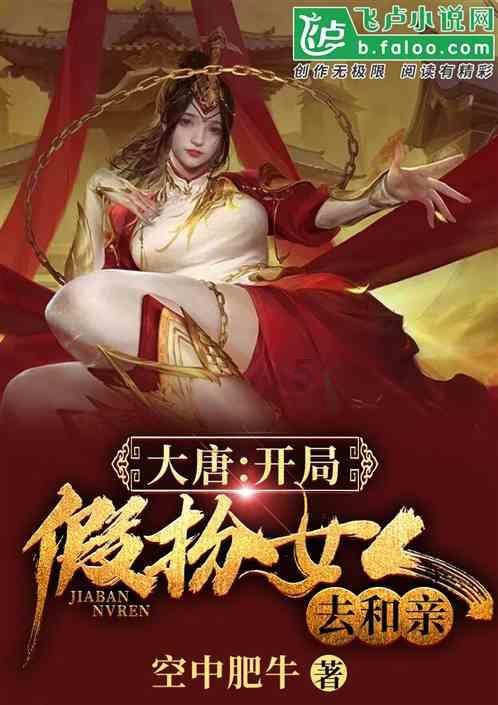 进击的飞机